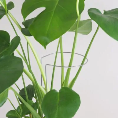 Dekoratívna opora na rastliny obruč Ø 14 cm dekorativna opora pre rastliny obruc kovova oporna tyc ku kvetom