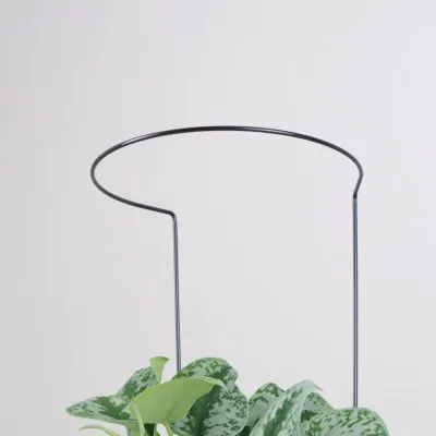 Dekoratívna opora na rastliny obruč Ø 20 cm dekorativna opora pre rastliny obruc kovova oporna tyc ku kvetom