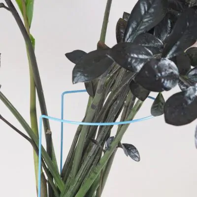 Dekoratívna opora na rastliny obruč Ø 20 cm dekorativna opora pre rastliny obruc kovova oporna tyc ku kvetom