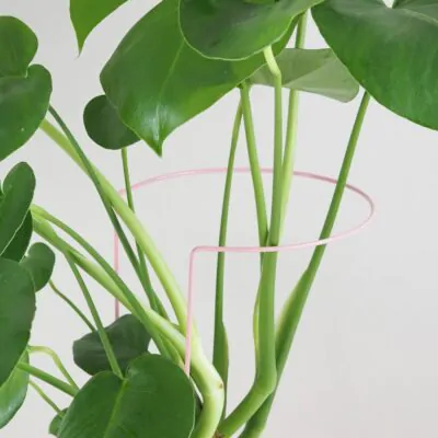 Dekoratívna opora na rastliny obruč Ø 20 cm dekorativna opora pre rastliny obruc kovova oporna tyc ku kvetom