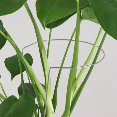 Dekoratívna opora na rastliny obruč Ø 20 cm dekorativna opora pre rastliny obruc kovova oporna tyc ku kvetom