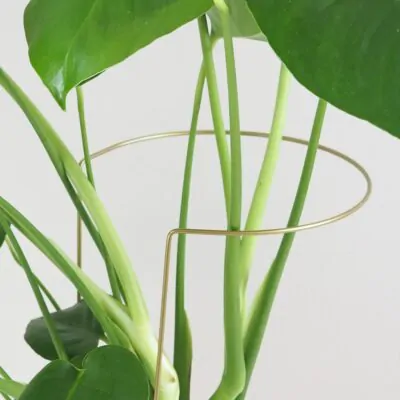 Dekoratívna opora na rastliny obruč Ø 20 cm dekorativna opora pre rastliny obruc kovova oporna tyc ku kvetom