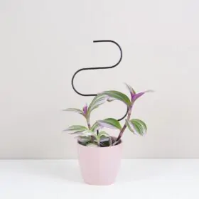 Dekoratívna opora na rastliny vlnka malá