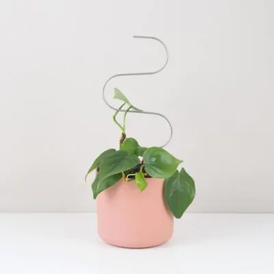 Dekoratívna opora na rastliny vlnka malá dekorativna opora pre rastliny vlnka mala kovova oporna tyc ku kvetom