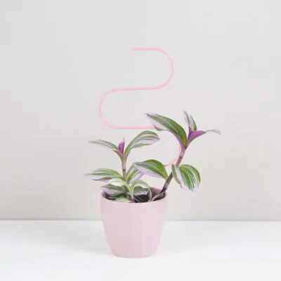 Dekoratívna opora na rastliny vlnka malá dekorativna opora pre rastliny vlnka mala kovova oporna tyc ku kvetom