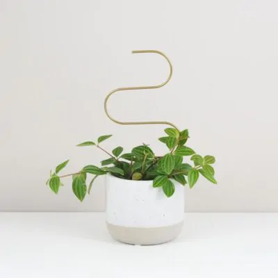 Dekoratívna opora na rastliny vlnka malá dekorativna opora pre rastliny vlnka mala kovova oporna tyc ku kvetom