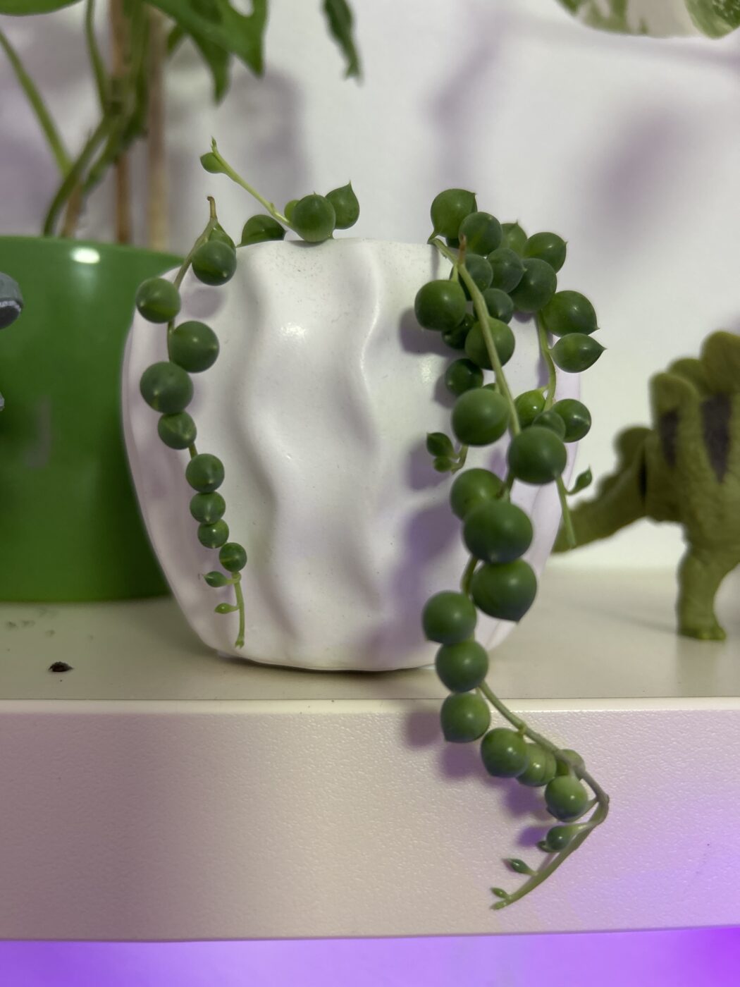 Image #1 from Anabela N.