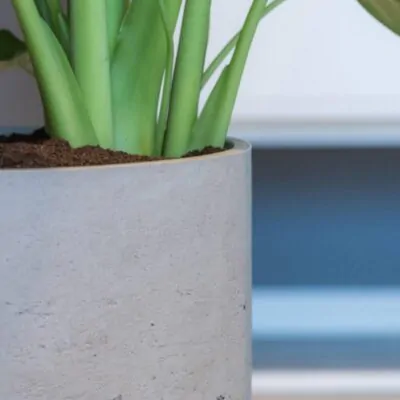 Kvetináč Charlie grey washed kvetinac charlie grey washed sedy betonovy kvetinac