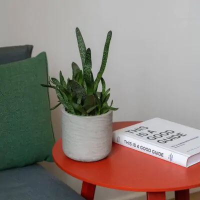 kvetinac charlie grey washed sedy betonovy kvetinac