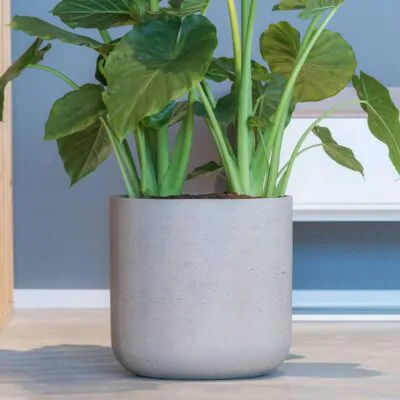 Kvetináč Charlie grey washed kvetinac charlie grey washed sedy betonovy kvetinac