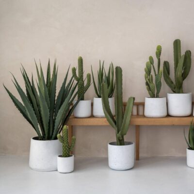 Kvetináč Charlie white washed kvetinac charlie white washed biely betonovy kvetinac