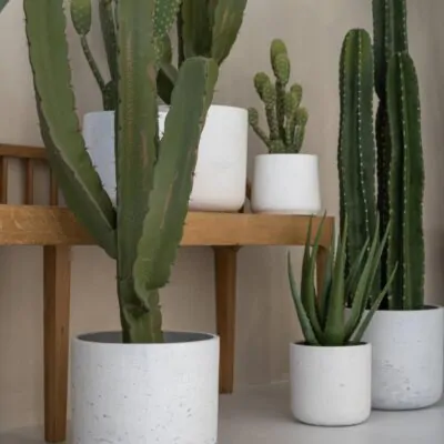 Kvetináč Charlie white washed kvetinac charlie white washed biely betonovy kvetinac