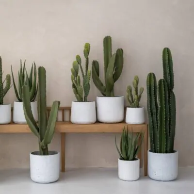 Kvetináč Charlie white washed kvetinac charlie white washed biely betonovy kvetinac