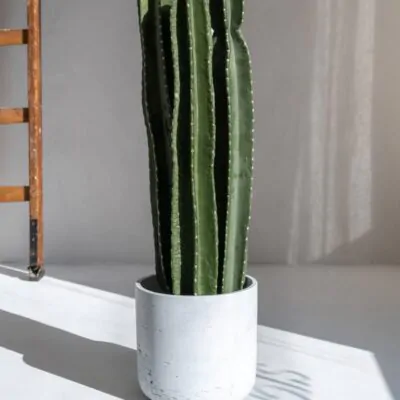 Kvetináč Charlie white washed kvetinac charlie white washed biely betonovy kvetinac