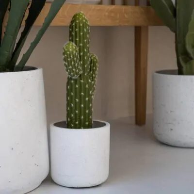 Kvetináč Charlie white washed kvetinac charlie white washed biely betonovy kvetinac