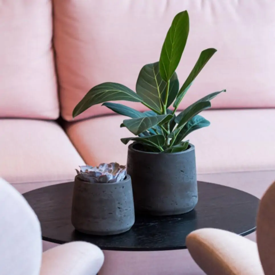 Kvetináč Patt black washed kvetinac patt black washed cierny antracitovy betonovy kvetinac