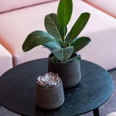 Kvetináč Patt black washed kvetinac patt black washed cierny antracitovy betonovy kvetinac