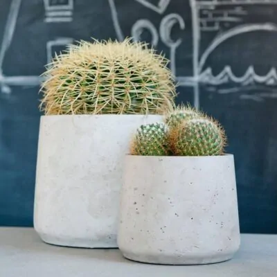 Kvetináč Patt grey washed kvetinac patt grey washed sedy betonovy kvetinac