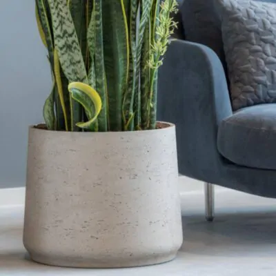 Kvetináč Patt grey washed kvetinac patt grey washed sedy betonovy kvetinac