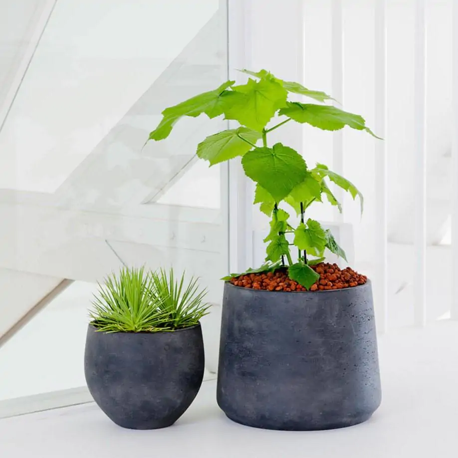 Kvetináč Patt black washed kvetinac patt orb black cierny antracitovy betonovy kvetinac