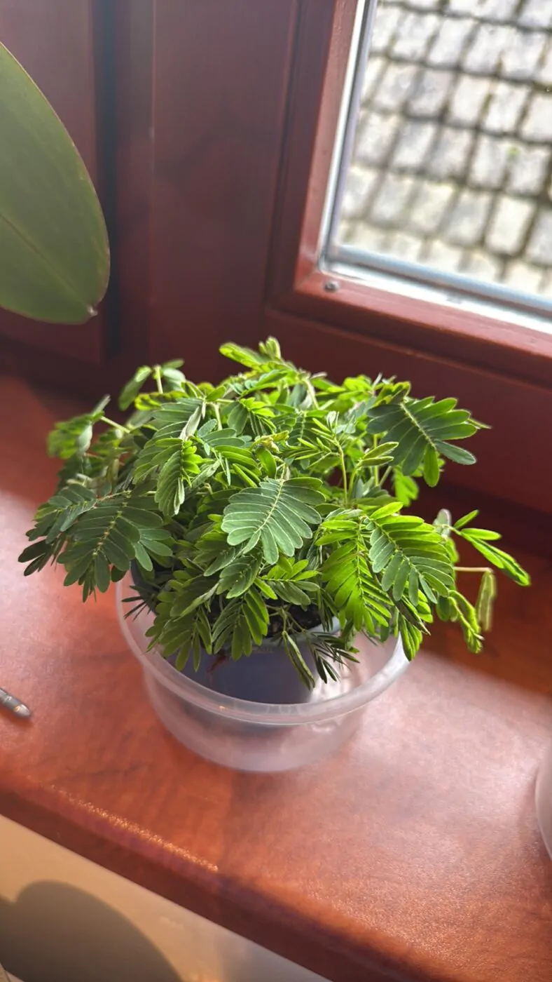 Image #1 from Michaela