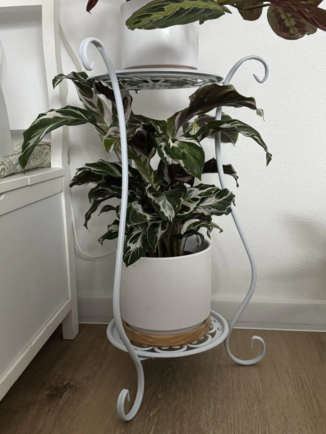 Image #1 from Ivana K.