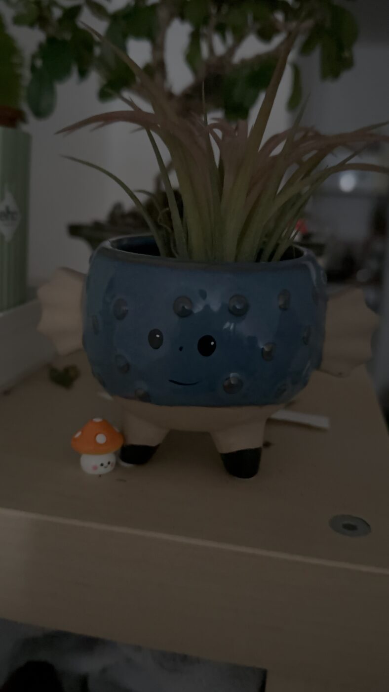 Image #1 from Andrea