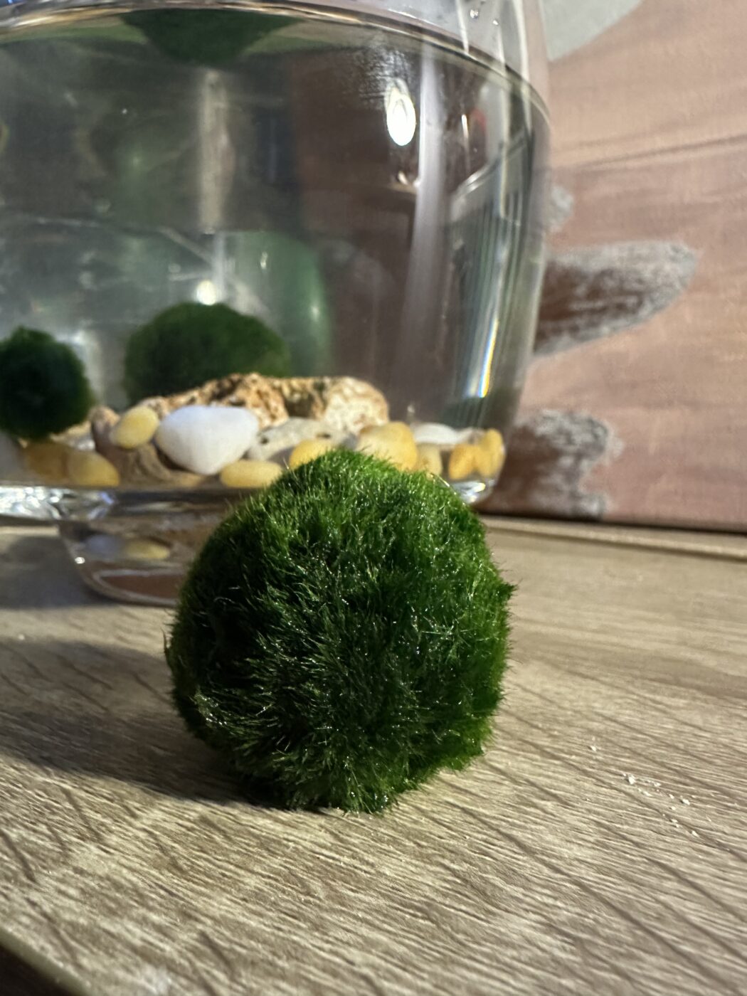 Image #1 from Veronika N.