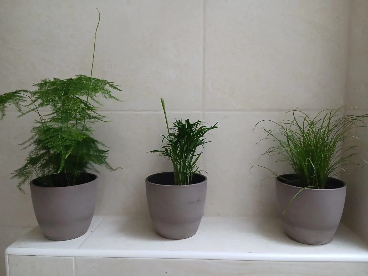 Image #1 from Anna K.