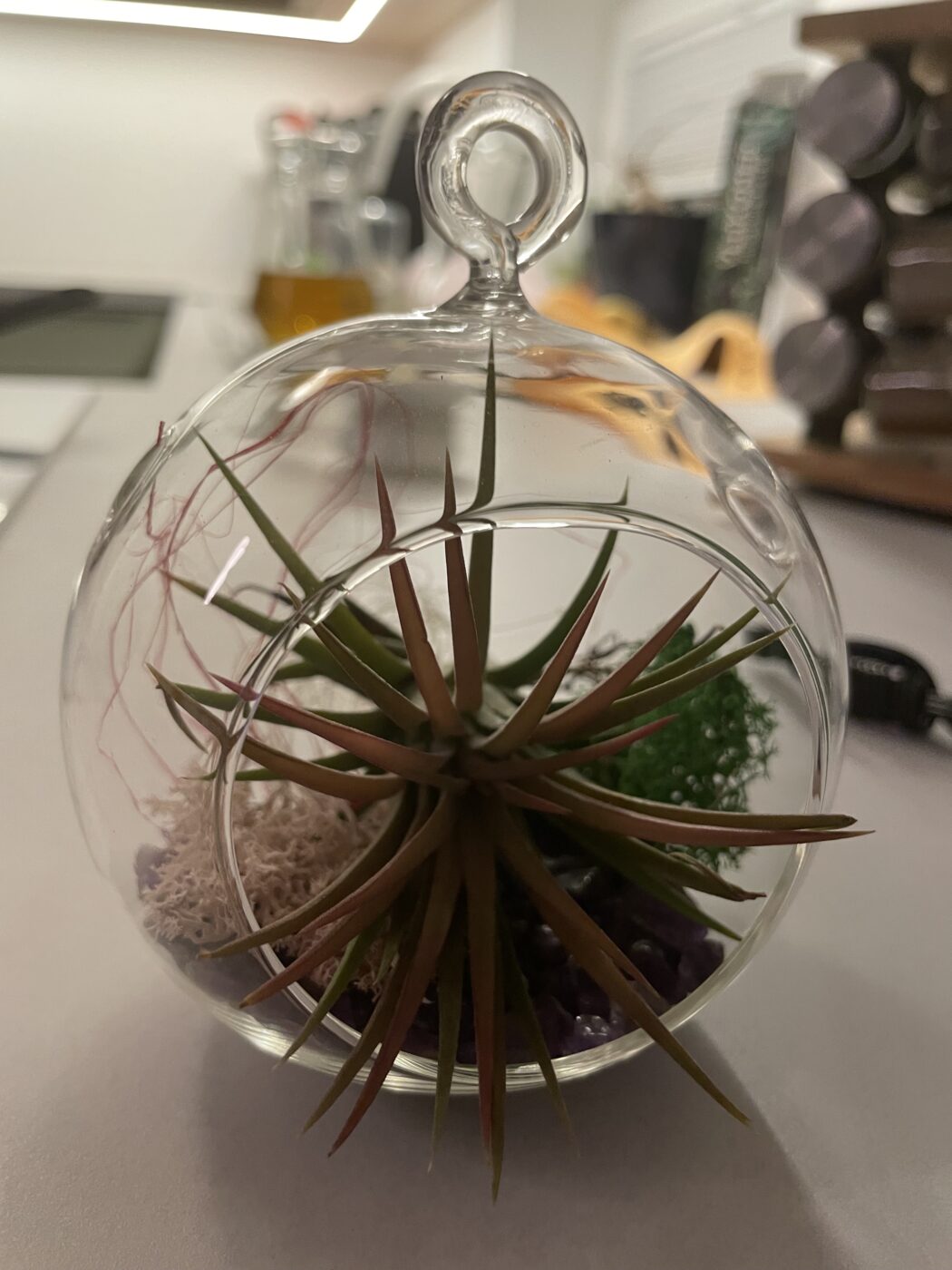 Image #2 from Nikola