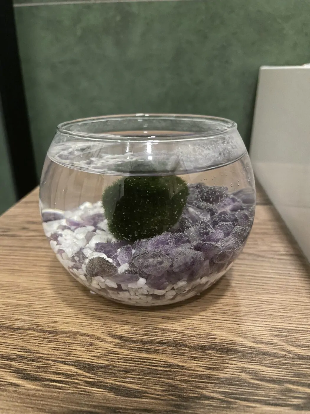 Image #1 from Nikola