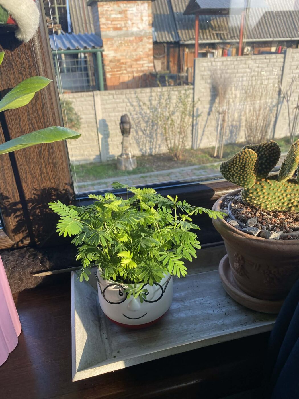 Image #1 from Anonym