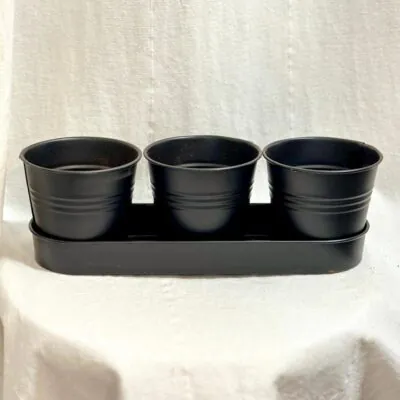 Set 3 talianskych byliniek s kvetináčmi bazalka oregano petrzlen