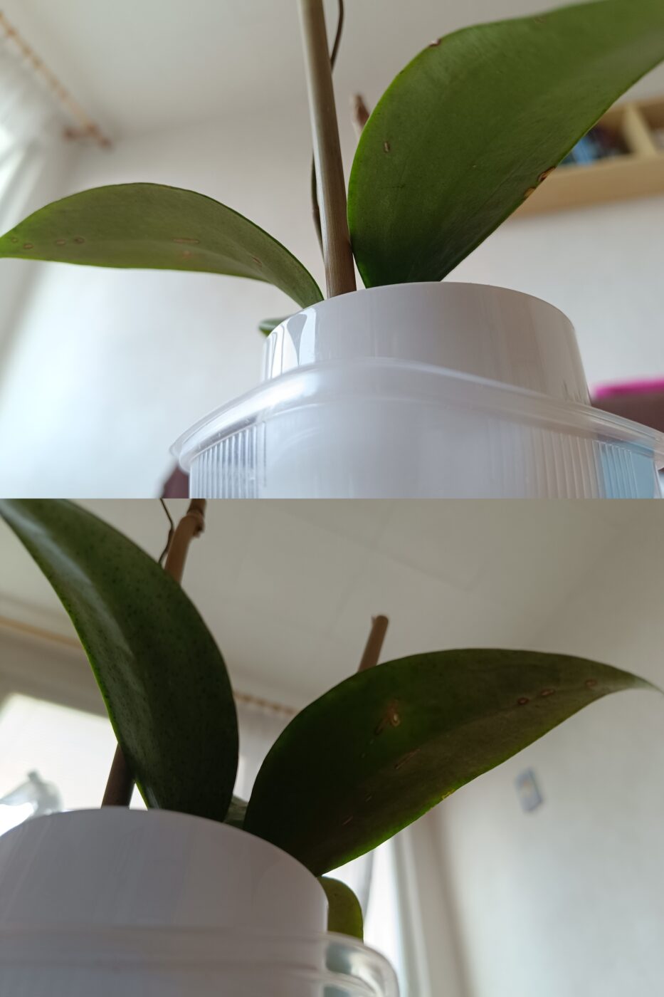 Image #3 from Anonym