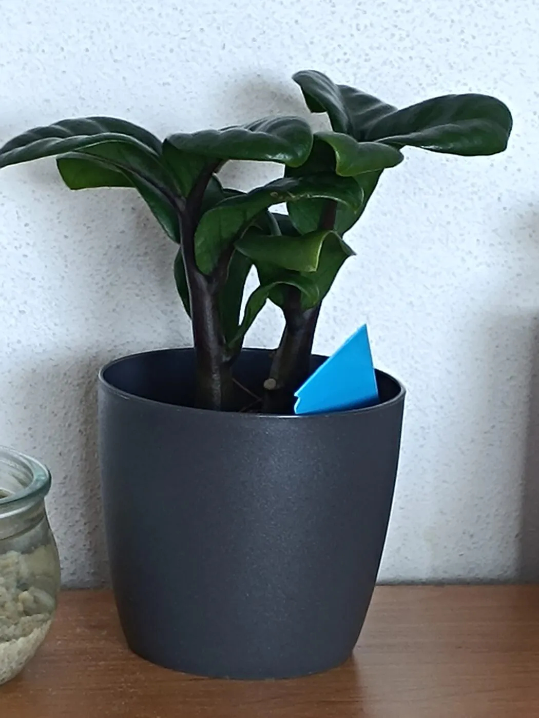 Image #1 from Anonym