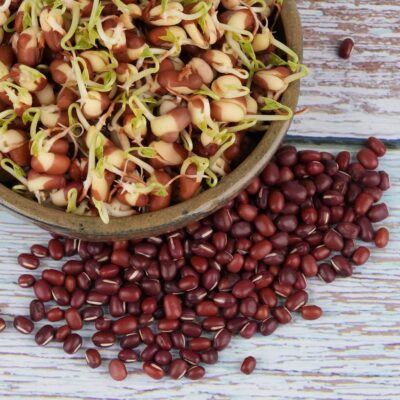 Fazuľa Adzuki semienka na klíčenie 50 g fazula adzuki semienka na klicenie microgreens klicky klickovanie