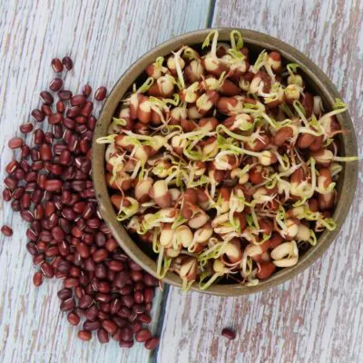fazula adzuki semienka na klicenie microgreens klicky klickovanie