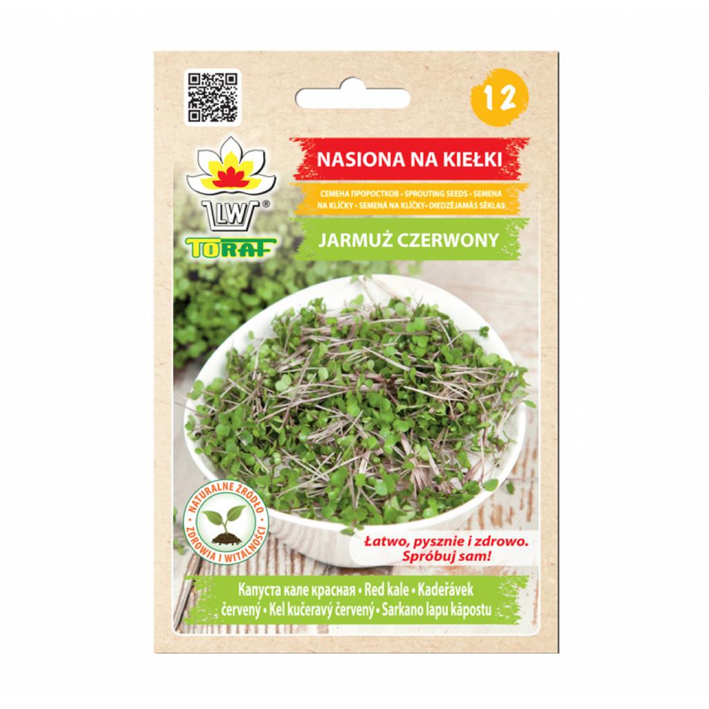 Kel kučeravý červený semienka na klíčenie 10 g kel kuceravy cerveny semienka na klicenie microgreens klicky klickovanie