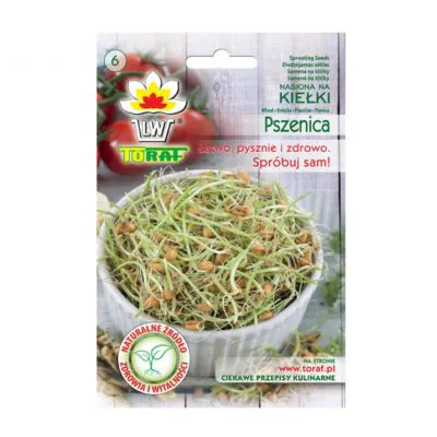 psenica semienka na klicenie microgreens klicky klickovanie