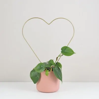 dekorativna opora na rastliny srdce kovova oporna tyc ku kvetom