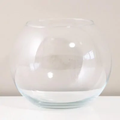 sklenene gulate akvarium na riasogule