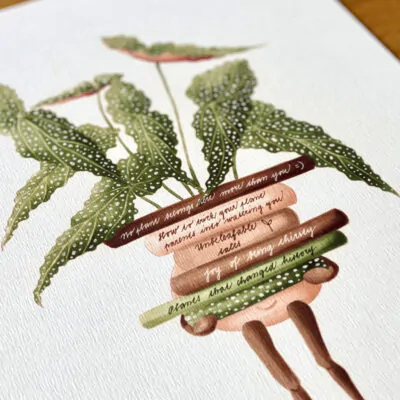 Botanická ilustrácia Klub čitateľov