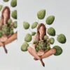 Botanická ilustrácia Sama s pileou botanicka ilustracia sama s pileou wearewind plantizia Plantizia.sk