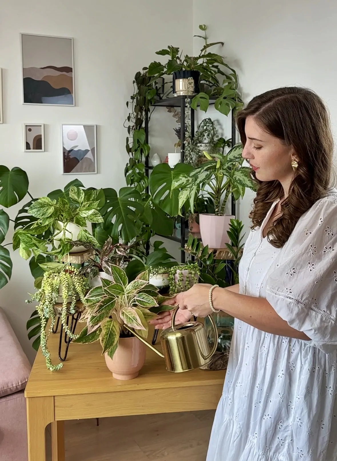polievanie rastlin zhora aglaonema plantizia Plantizia.sk