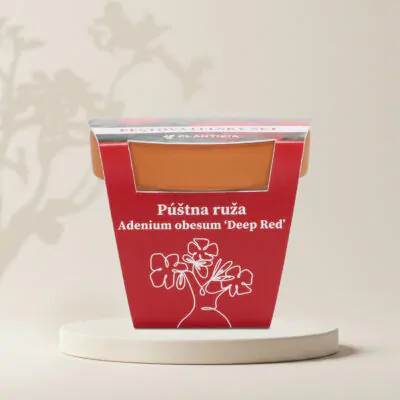 pustna ruza adenium obesum deep red pestovatelsky set zo semien semienka izbovych rastlin