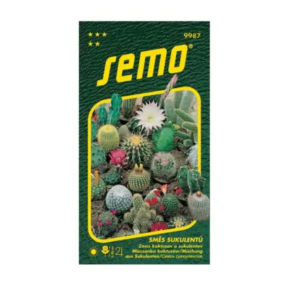 semienka zmes kaktusov a sukulentov pestovanie zo semien semo
