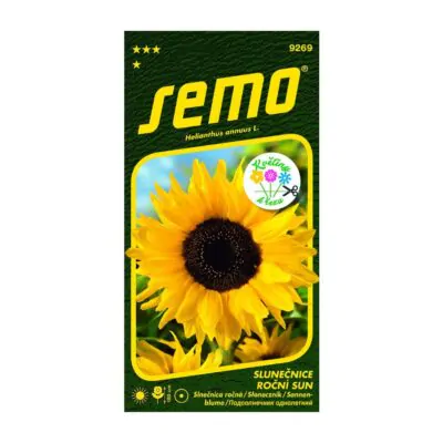 semienka slnecnica rocna sun semienka kvetov semo pestovanie zo semien
