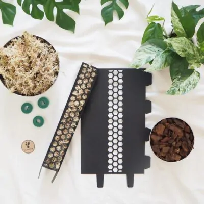 raselinnikova tyc cierna pre izbove rastliny opora na rastliny oporna tyc