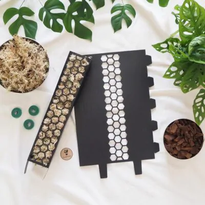 raselinnikova tyc cierna pre izbove rastliny opora na rastliny oporna tyc