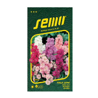 semienka fiala letna siva matthiola semena semo kvety